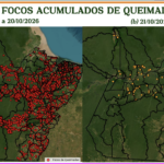 Boletim de Queimadas – 21/10/2026